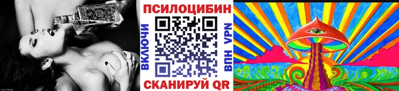 блэк спрут   Приозерск  Псилоцибиновые грибы Psilocybe 